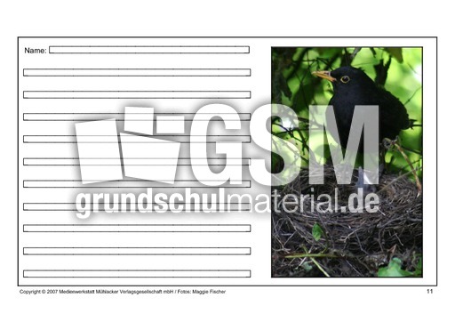 Amsel-eigene-Texte-11.pdf